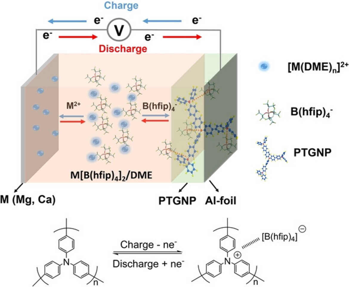 Anion Storage Chemistry of Organic Cathodes for High-Energy and High ...